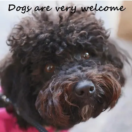 Xiv Century Bed & Breakfast 3*