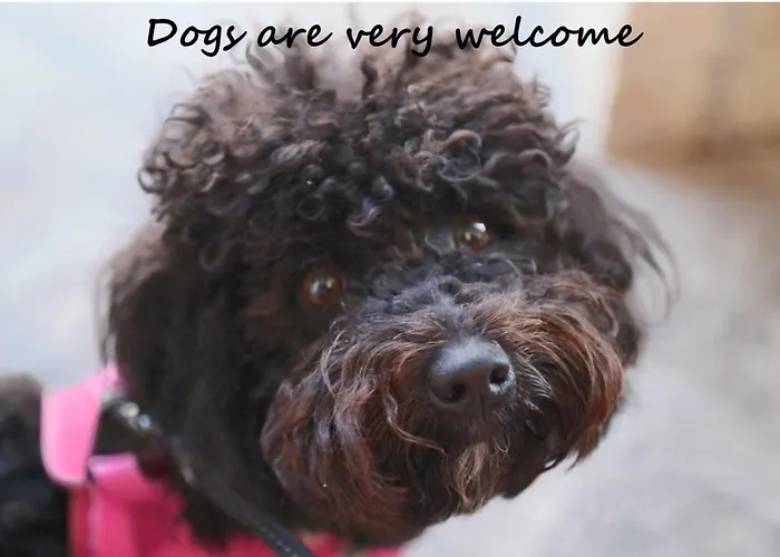 Xiv Century Nocleg ze śniadaniem 3*